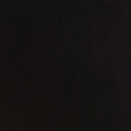 Alana Upholstered Tufted Arm Chair with Nailhead Trim by Coaster at Eve Furniture