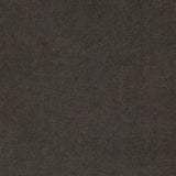 Alana Upholstered Tufted Arm Chair with Nailhead Trim by Coaster at Eve Furniture