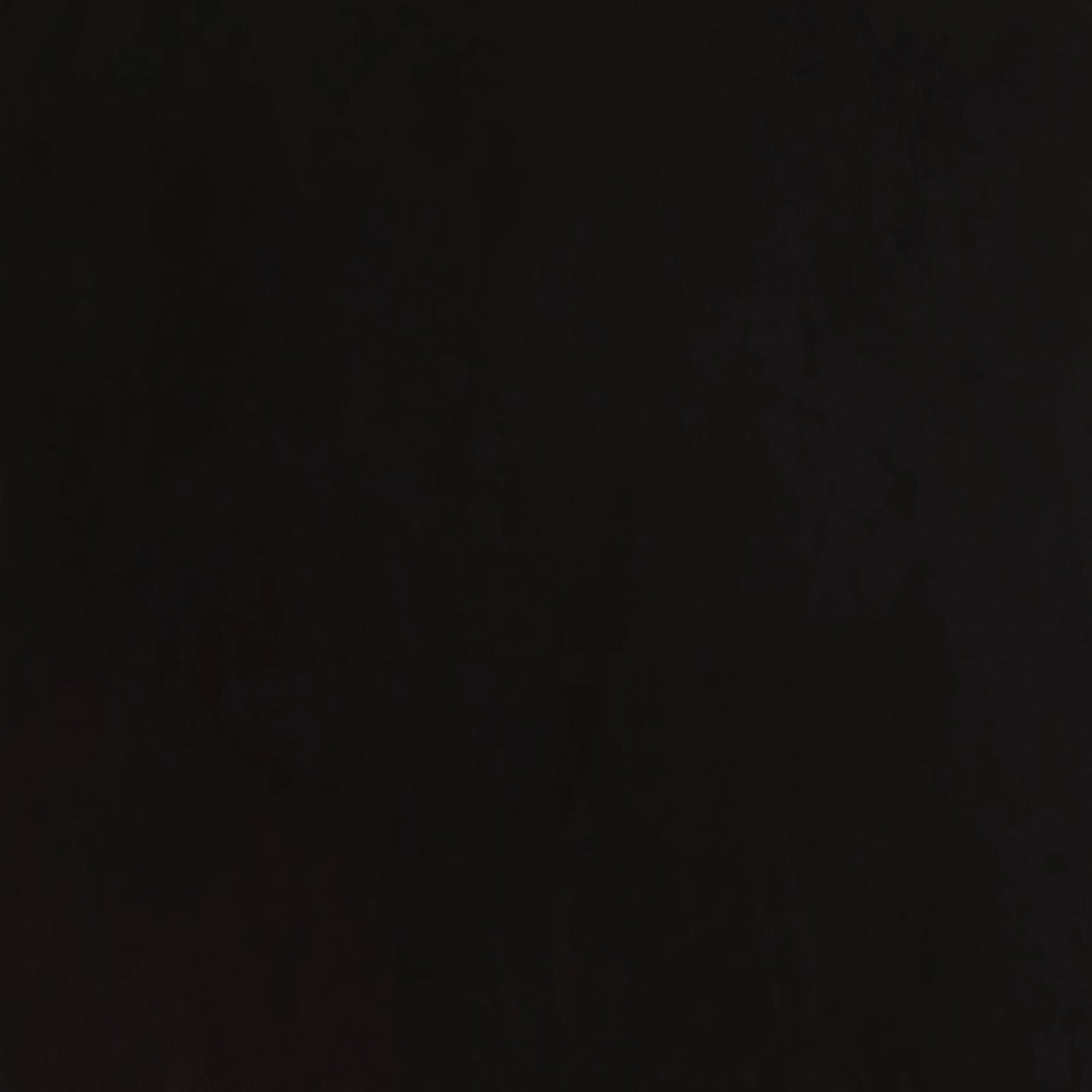 Alana Upholstered Tufted Arm Chair with Nailhead Trim by Coaster at Eve Furniture