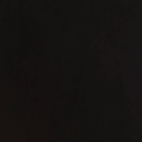 Alana Upholstered Tufted Arm Chair with Nailhead Trim by Coaster at Eve Furniture