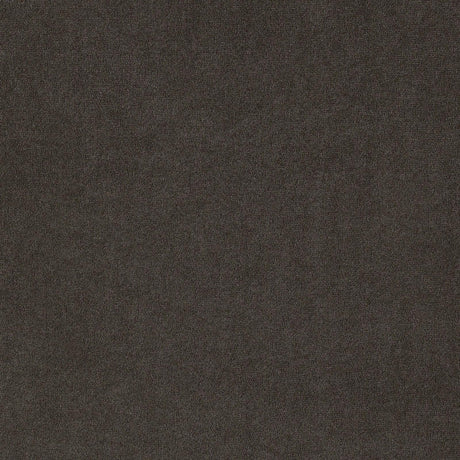 Alana Upholstered Tufted Arm Chair with Nailhead Trim by Coaster at Eve Furniture