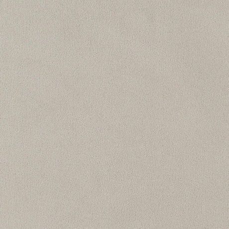 Alana Upholstered Tufted Arm Chair with Nailhead Trim by Coaster at Eve Furniture