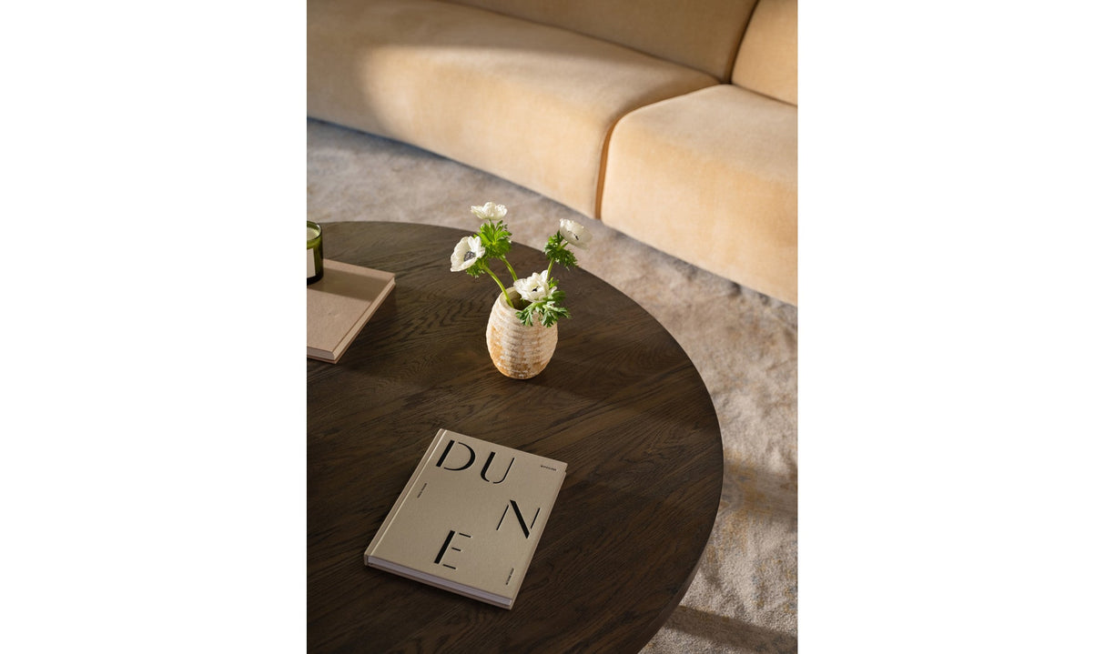 Alden Coffee Table Cool Brown by Moe's Home at Eve Furniture