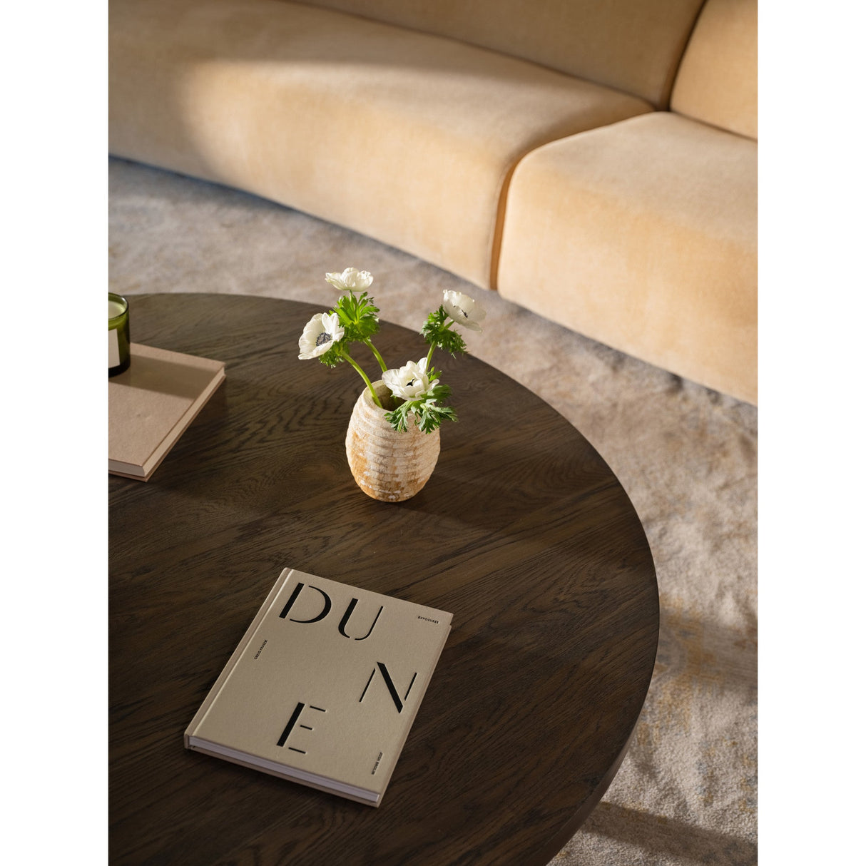 Alden Cool Brown Coffee Table by Moe's Home at Eve Furniture