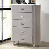 Aldridge Light Gray 5-Piece Queen Bedroom Set by Furniture of America at Eve Furniture