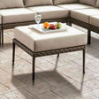 Aleisha Gray/Beige Outdoor Patio Ottoman by Furniture of America at Eve Furniture