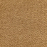Aleisha Mustard Yellow Chenille Upholstered Accent Chair by Coaster at Eve Furniture