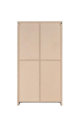 Alejo Gray Driftwood 2-Door Tall Cabinet