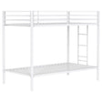 Alevera Metal Twin Over Twin Bunk Bed with Ladder White by Coaster at Eve Furniture