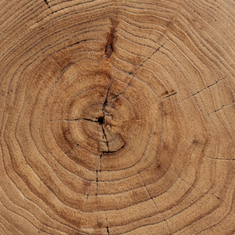 Alina Heartwood Natural 14 Round Accent Table by Classic Home at Eve Furniture