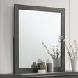 Alison Metallic Gray Mirror by Furniture of America at Eve Furniture