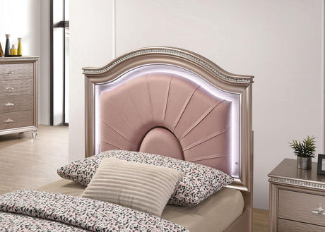Allie Rose Gold Full Bed by Furniture of America at Eve Furniture