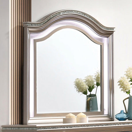 Allie Rose Gold Mirror by Furniture of America at Eve Furniture