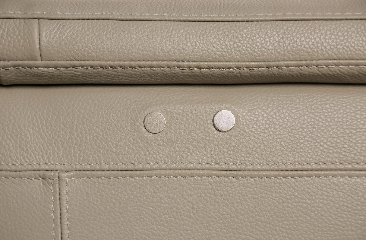 Altamura Taupe Power Loveseat by Furniture of America at Eve Furniture