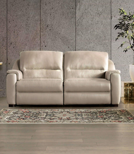 Altamura Taupe Power Loveseat by Furniture of America at Eve Furniture
