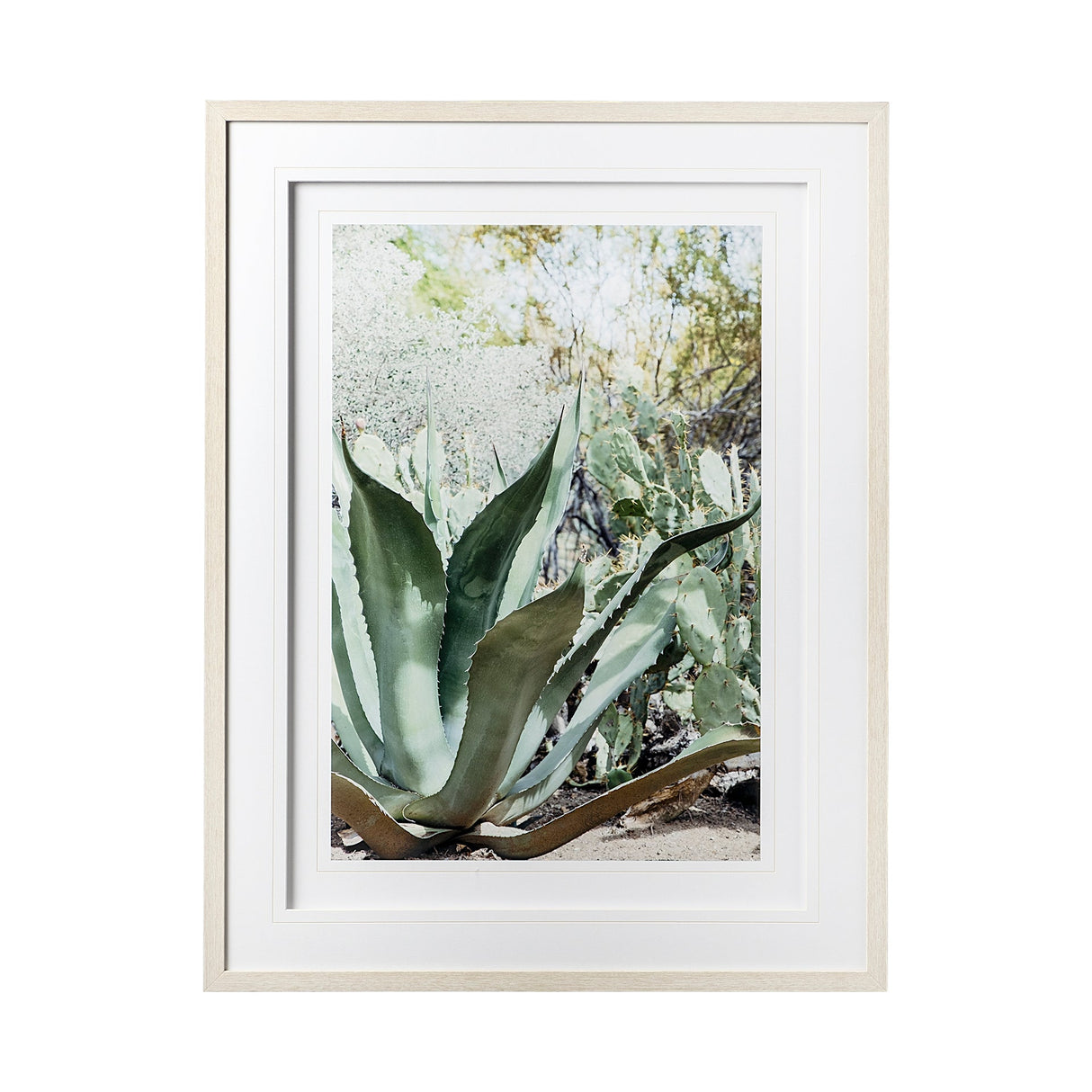 Alzira by Irene Suchocki a Hand Embellished Textured Framed Art Photograph Matted under Glass by Mercana at Eve Furniture