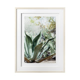Alzira by Irene Suchocki a Hand Embellished Textured Framed Art Photograph Matted under Glass by Mercana at Eve Furniture