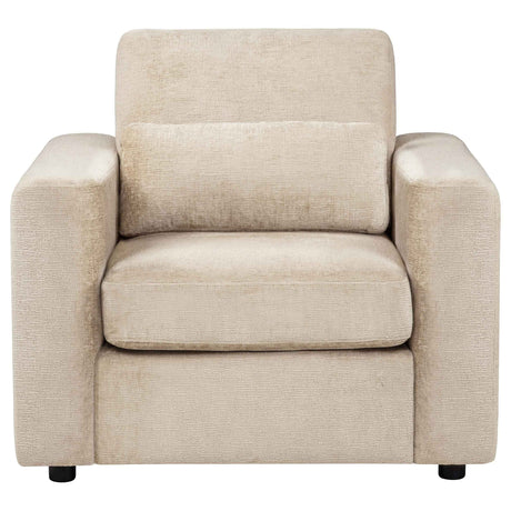 Amador Camel Chenille Upholstered Track Arm Accent Chair by Coaster at Eve Furniture