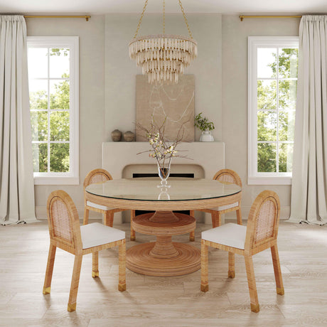 Amara Natural Rattan and Performance Fabric Arched Back Dining Chair by TOV Furniture at Eve Furniture