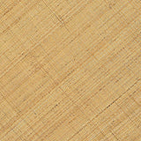 Amara Natural Rattan Coffee Table by TOV Furniture at Eve Furniture