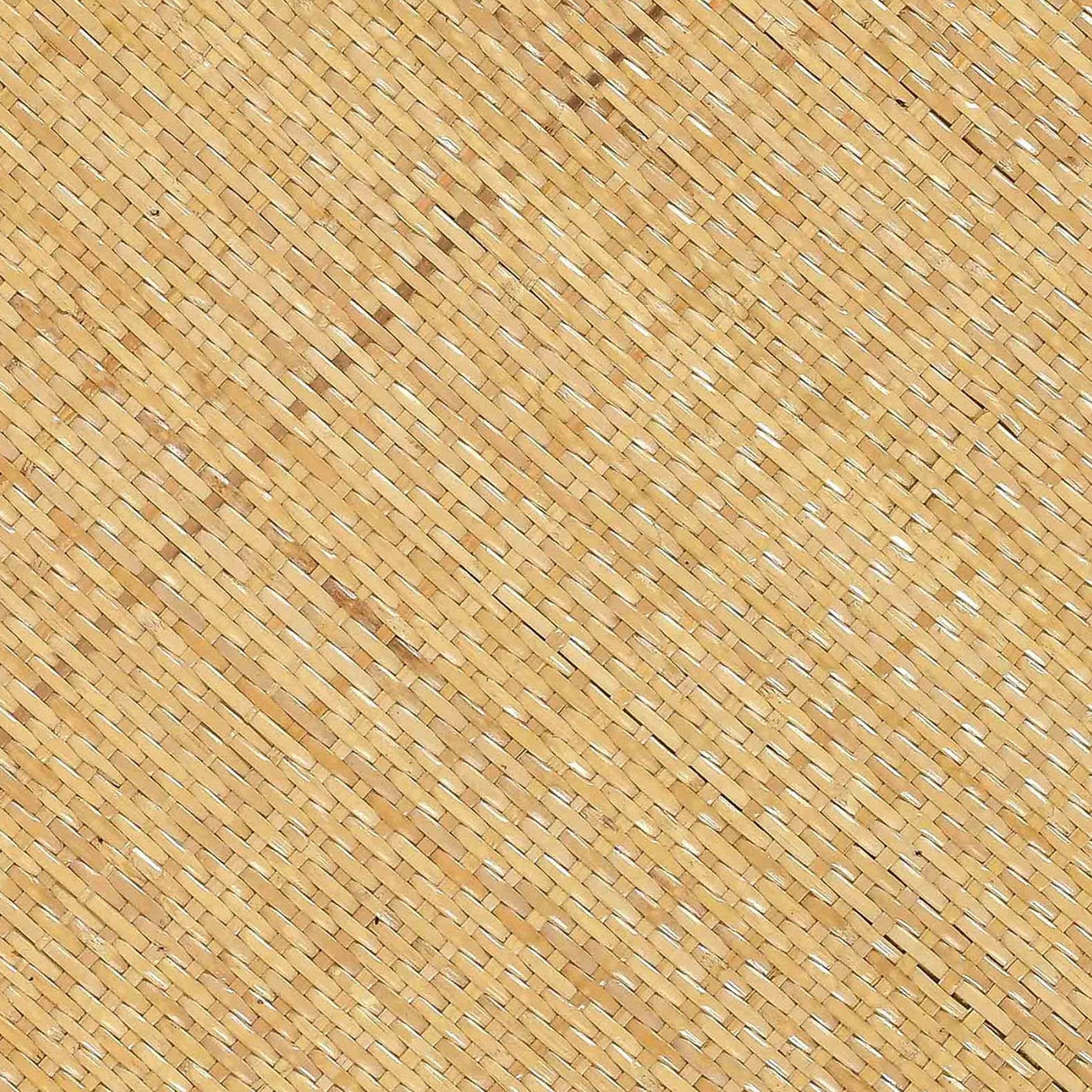 Amara Natural Rattan Side Table by TOV Furniture at Eve Furniture