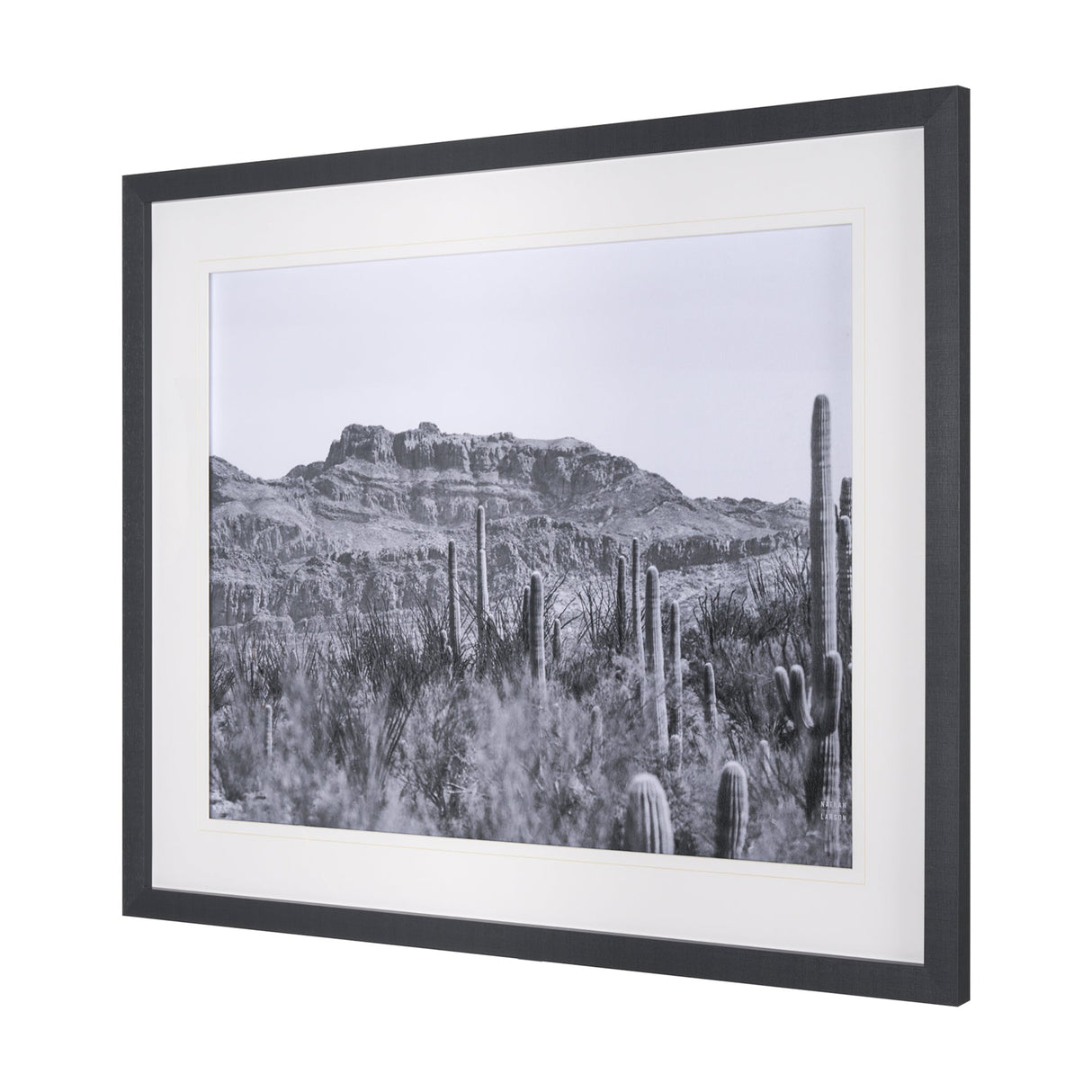 American Borderlands by Nathan Larson Hand Embelished Textured Framed Photo Art Print Matted under G by Mercana at Eve Furniture