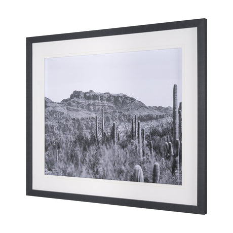 American Borderlands by Nathan Larson Hand Embelished Textured Framed Photo Art Print Matted under G by Mercana at Eve Furniture