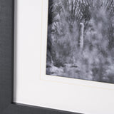 American Borderlands by Nathan Larson Hand Embelished Textured Framed Photo Art Print Matted under G by Mercana at Eve Furniture