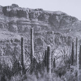 American Borderlands by Nathan Larson Hand Embelished Textured Framed Photo Art Print Matted under G by Mercana at Eve Furniture
