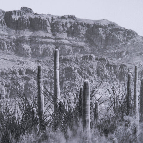 American Borderlands by Nathan Larson Hand Embelished Textured Framed Photo Art Print Matted under G by Mercana at Eve Furniture