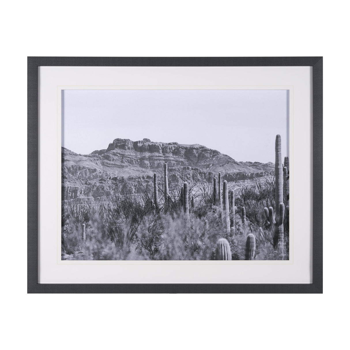 American Borderlands by Nathan Larson Hand Embelished Textured Framed Photo Art Print Matted under G by Mercana at Eve Furniture