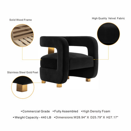 Amirah Accent Chair in Black (set of 2) by Manhattan Comfort at Eve Furniture