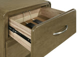 Amsbury Nutmeg 2-Drawer Nightstand by Coaster at Eve Furniture