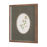 Anagallis Arvensis Flowers by Pierre Joseph Redoute a Hand Embellished Framed Print under Glass by Mercana at Eve Furniture
