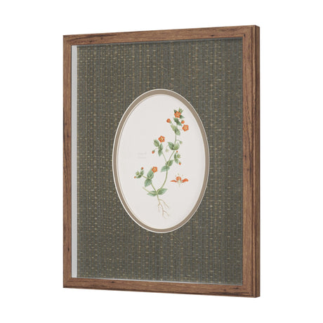 Anagallis Arvensis Flowers by Pierre Joseph Redoute a Hand Embellished Framed Print under Glass by Mercana at Eve Furniture