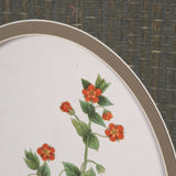 Anagallis Arvensis Flowers by Pierre Joseph Redoute a Hand Embellished Framed Print under Glass by Mercana at Eve Furniture