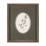 Anagallis Arvensis Flowers by Pierre Joseph Redoute a Hand Embellished Framed Print under Glass by Mercana at Eve Furniture