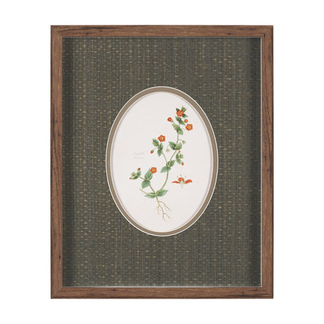 Anagallis Arvensis Flowers by Pierre Joseph Redoute a Hand Embellished Framed Print under Glass by Mercana at Eve Furniture