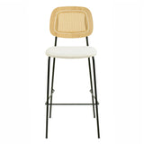 Anais Natural Rattan Counter Stool - Set of 2 by TOV Furniture at Eve Furniture