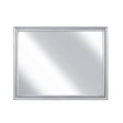 Anatole Metallic Silver Mirror by Homelegance at Eve Furniture
