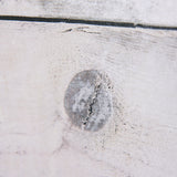 Anchors Away by Mercana Studio a Hand Embellished Textured Canvas by Mercana at Eve Furniture
