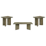 Andando Mango Brown 3-Piece Coffee and End Table Set by Coaster at Eve Furniture