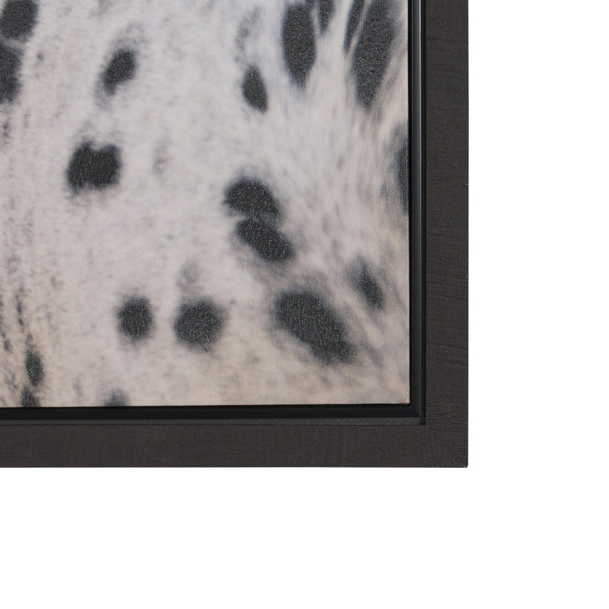 Andromeda 4 by Crystal Lynn Collins Hand-Embellished Textured Framed Canvas Artwork by Mercana at Eve Furniture