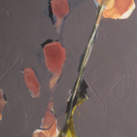 Anemone & Coral II by Jennifer Goldberger a Framed Art Print Matted under Glass by Mercana at Eve Furniture