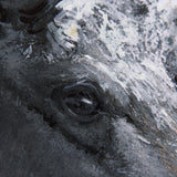 Animal Portrait I by Mercana Studio a Hand Embellished Textured Canvas by Mercana at Eve Furniture