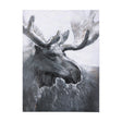 Animal Portrait I by Mercana Studio a Hand Embellished Textured Canvas by Mercana at Eve Furniture