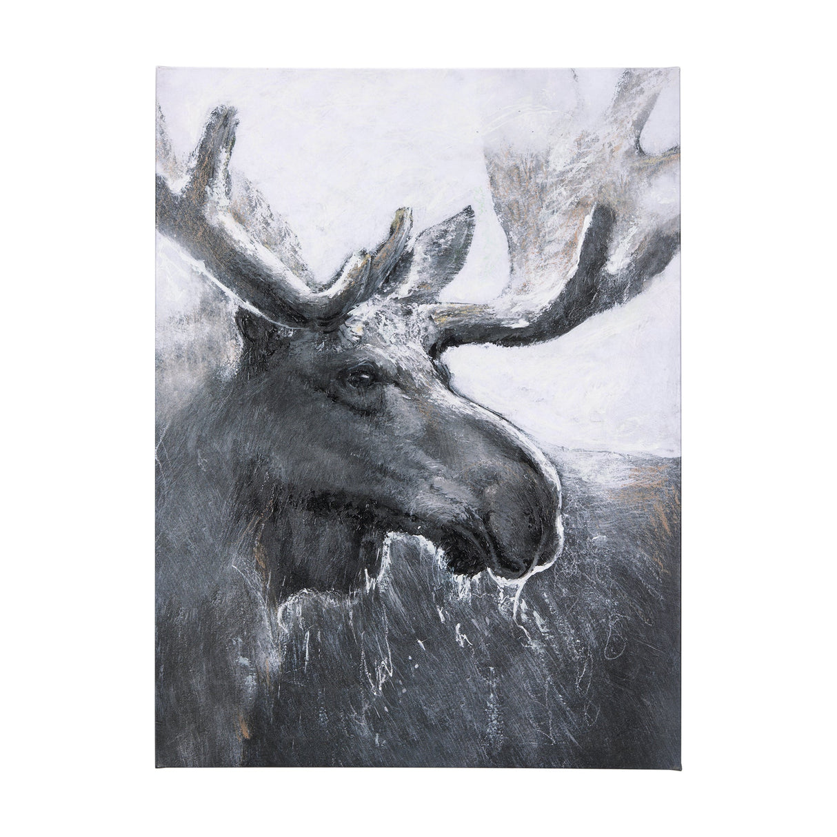 Animal Portrait I by Mercana Studio a Hand Embellished Textured Canvas by Mercana at Eve Furniture