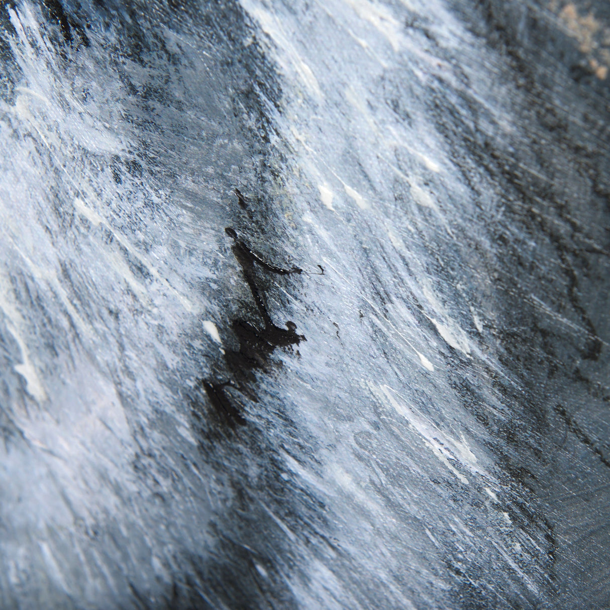 Animal Portrait II by Mercana Studio a Hand Embellished Textured Canvas by Mercana at Eve Furniture