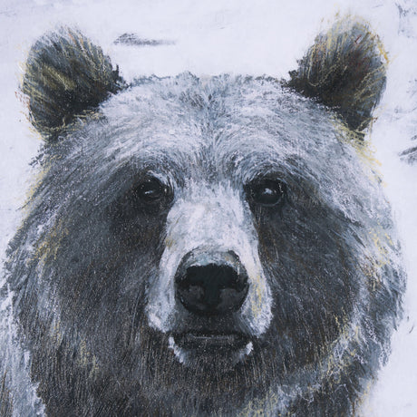 Animal Portrait III (Bear) by Mercana Studio Hand Embellished Framed Art Print Matted under Glass by Mercana at Eve Furniture