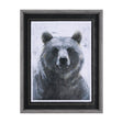Animal Portrait III (Bear) by Mercana Studio Hand Embellished Framed Art Print Matted under Glass by Mercana at Eve Furniture